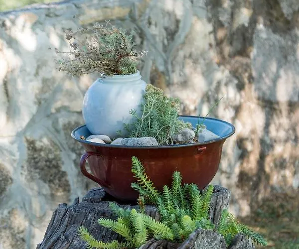 Veli Dvor Нерезине