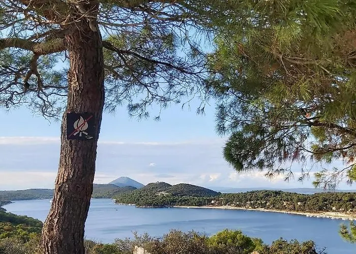 Veli Dvor Нерезине