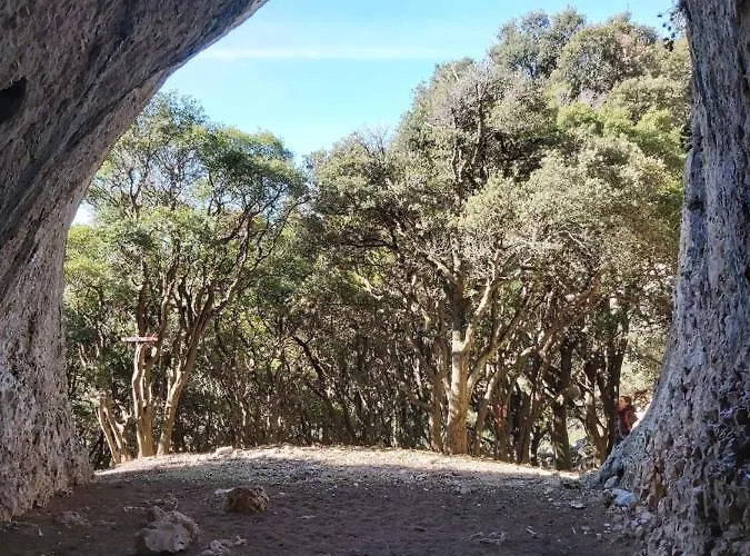 Veli Dvor Villa Nerezine