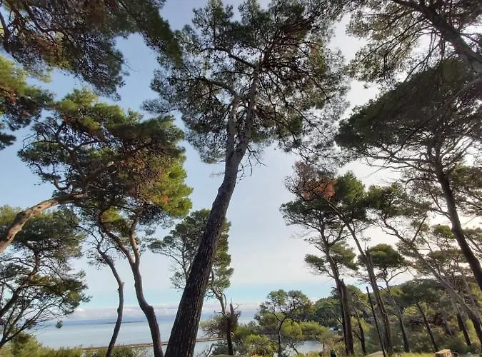 Вилла Veli Dvor *