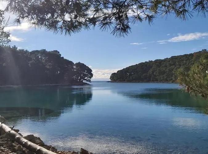 Вилла Veli Dvor *